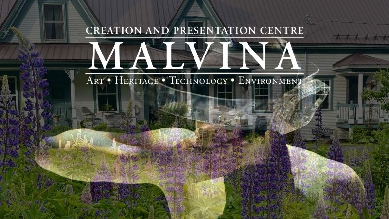 Malvina Creation and Presentation Center, Art Heritage, Technology Environment