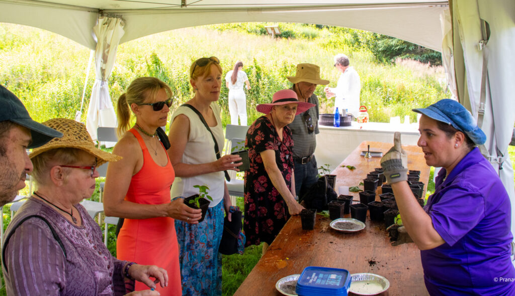 Mediation activity on integrating biodiversity in gardens, with researcher from Bishop's University