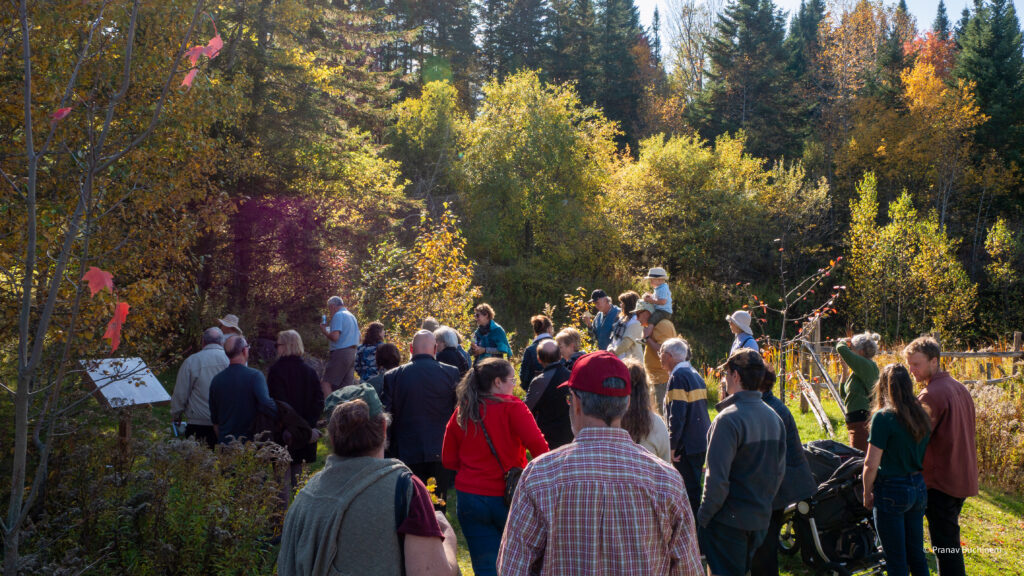 Bilan de la saison 2025 : Une année exceptionnelle au ccd Malvina à Saint-Malo