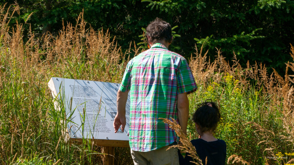 Panneau d'interprétation du parcours artistique avec homme de dos et petit-enfant, dans les champs face à la forêt